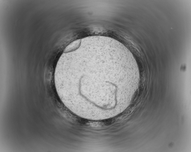 X0000099230417200805221840