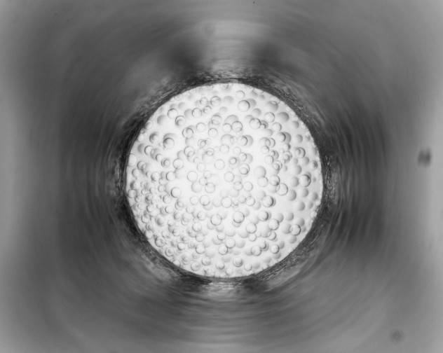 X0000099230418200805221840