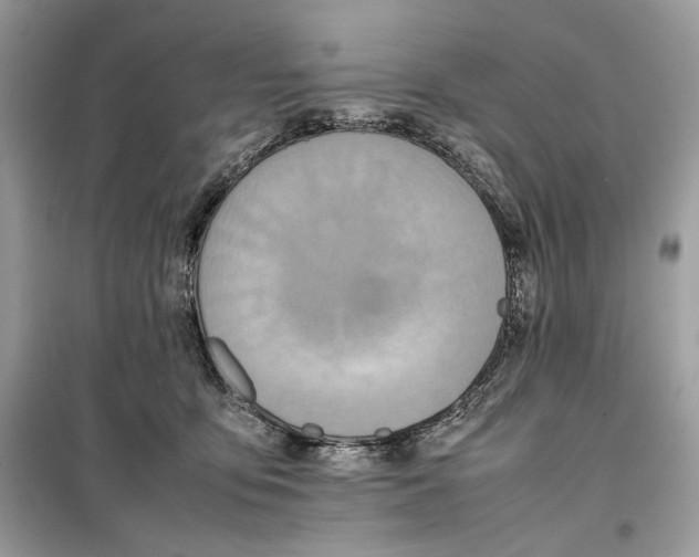 X0000099230419200805221840