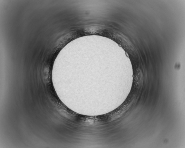 X0000099230420200805221840