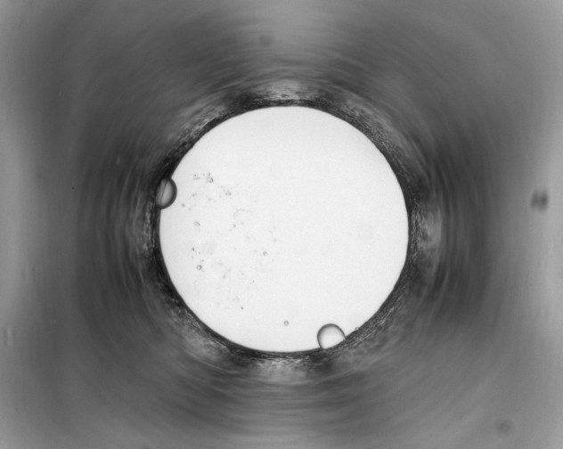 X0000099230422200805221840