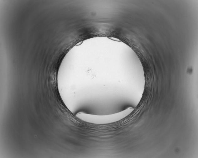 X0000099230425200805221840