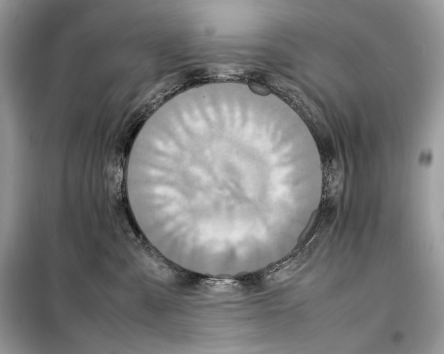 X0000099230427200805221840