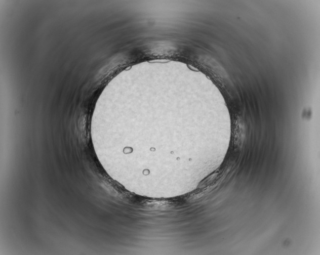 X0000099230428200805221840