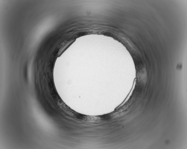 X0000099230429200805221840