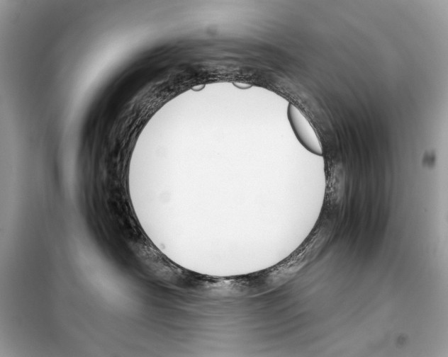 X0000099230430200805221840