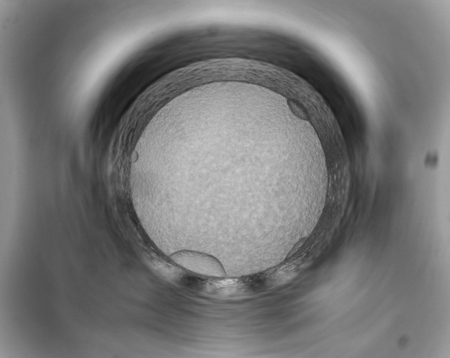 X0000099230431200805221840