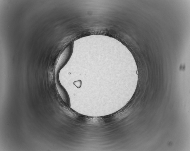 X0000099230432200805221840