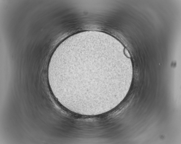 X0000099230433200805221839