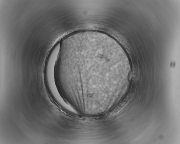 X0000099230434200805221839