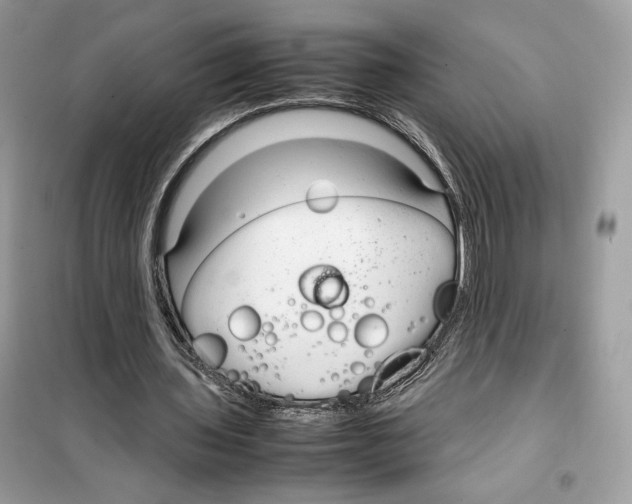 X0000099230435200805221839