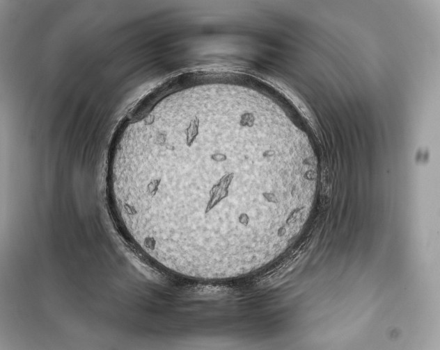 X0000099230437200805221839