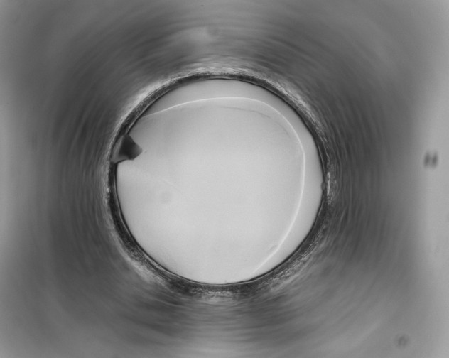 X0000099230438200805221839