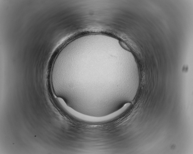 X0000099230440200805221839