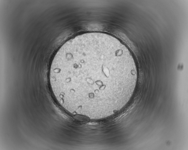 X0000099230441200805221839
