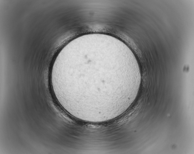 X0000099230442200805221840