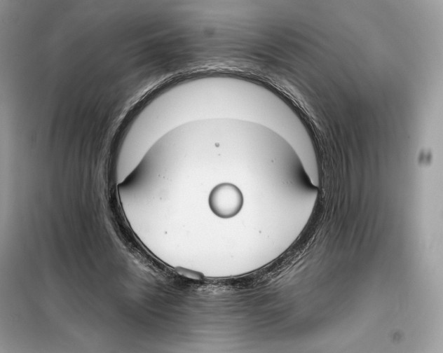 X0000099230444200805221840