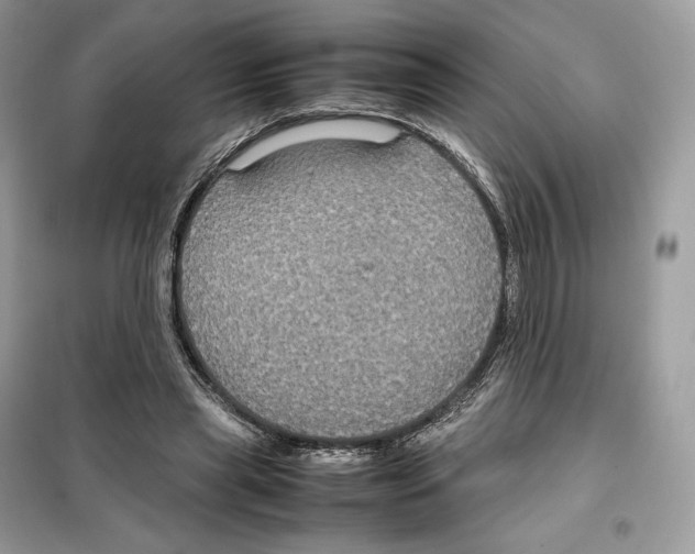 X0000099230445200805221840