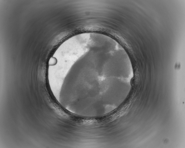 X0000099230446200805221840