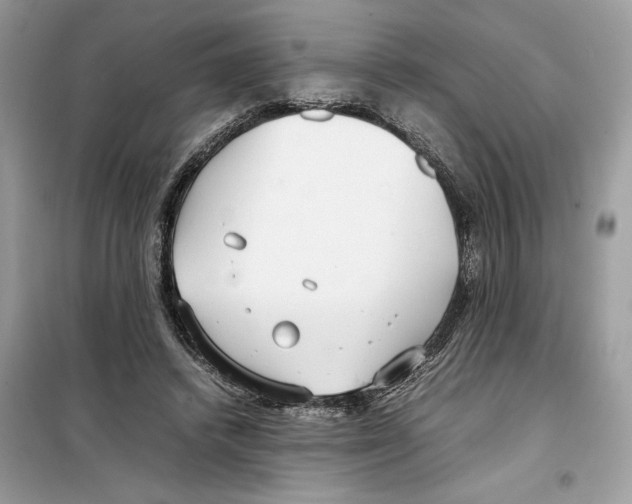 X0000099230448200805221840