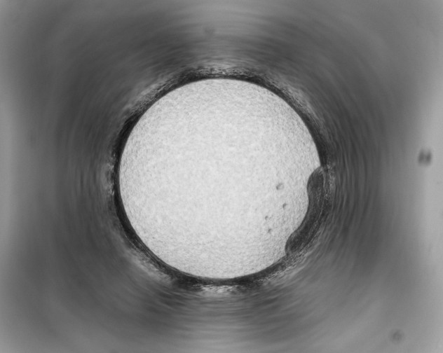 X0000099230450200805221840