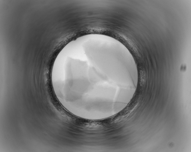 X0000099230451200805221840