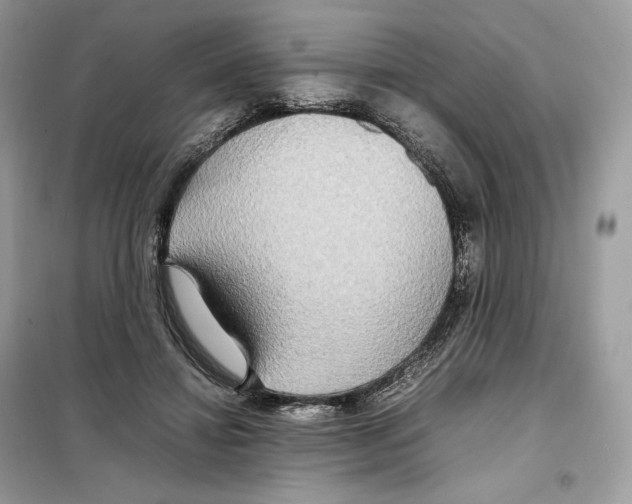 X0000099230452200805221840