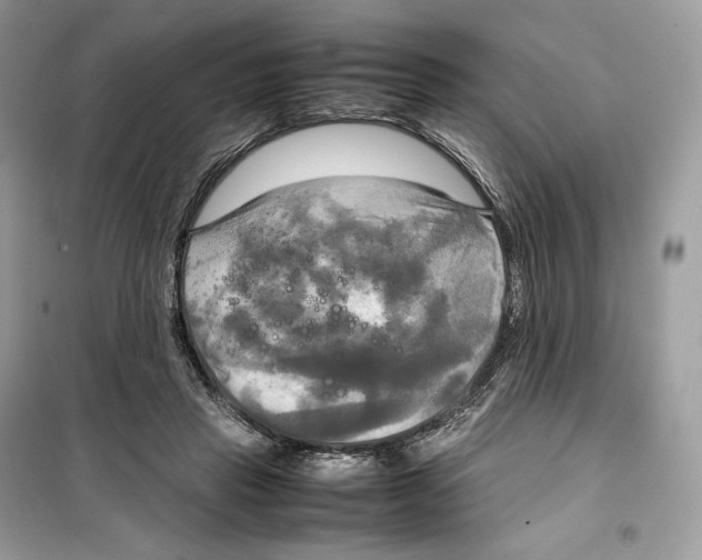 X0000099230453200805221840