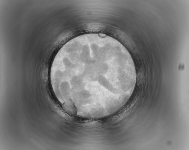 X0000099230454200805221840