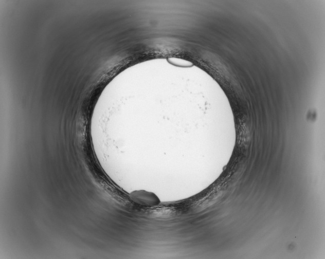 X0000099230456200805221840