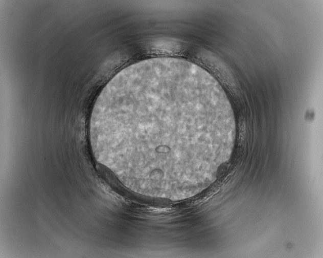 X0000099230457200805221840