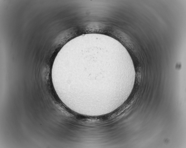 X0000099230458200805221840