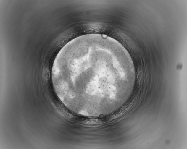 X0000099230459200805221840