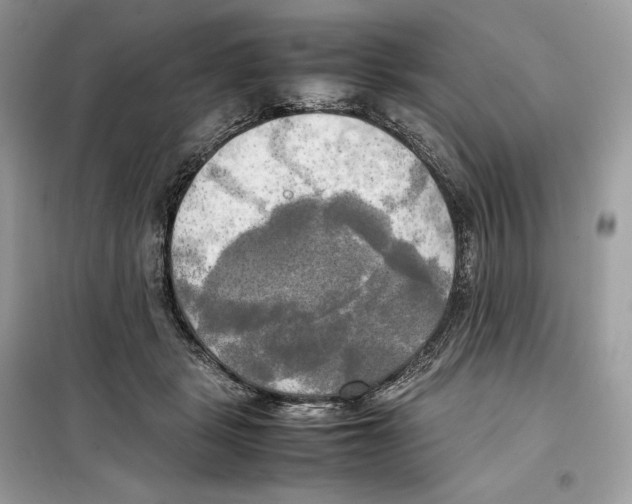 X0000099230461200805221840