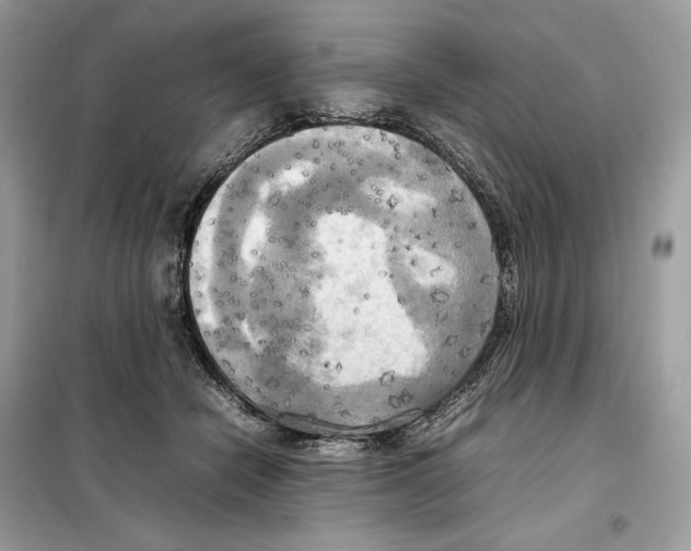 X0000099230462200805221840