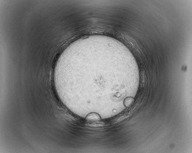 X0000099230463200805221840