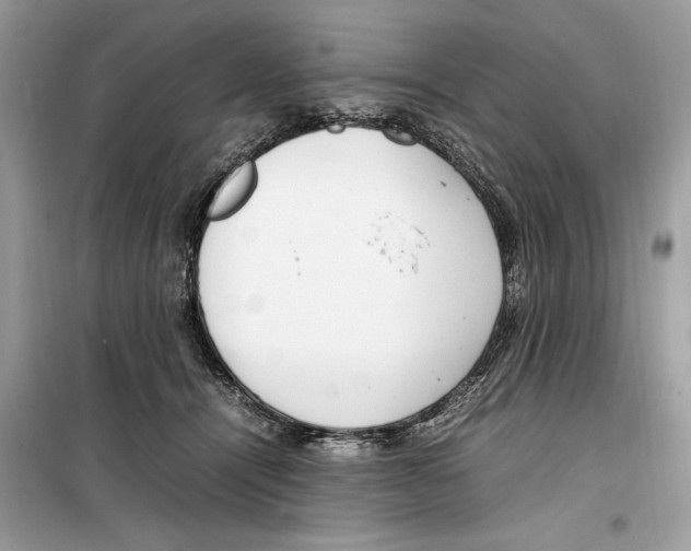 X0000099230464200805221840