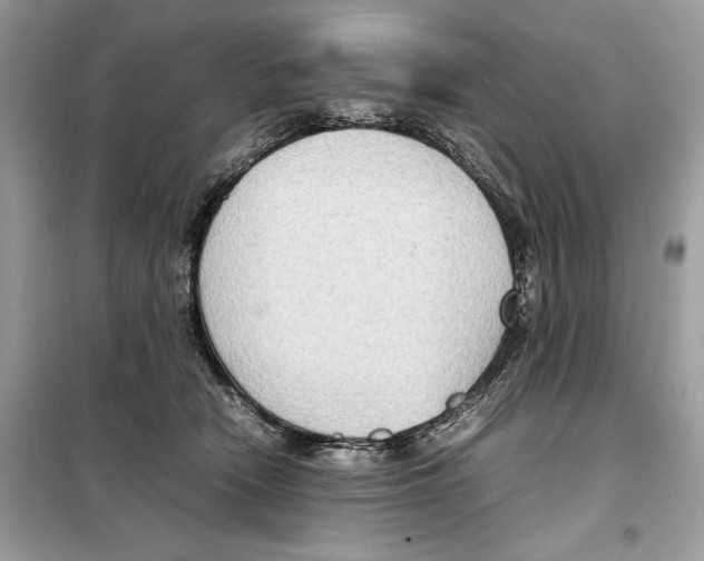 X0000099230466200805221840