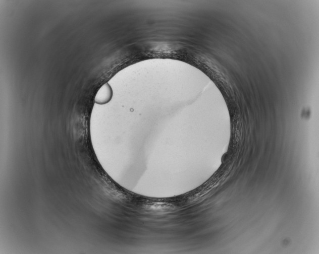 X0000099230467200805221840