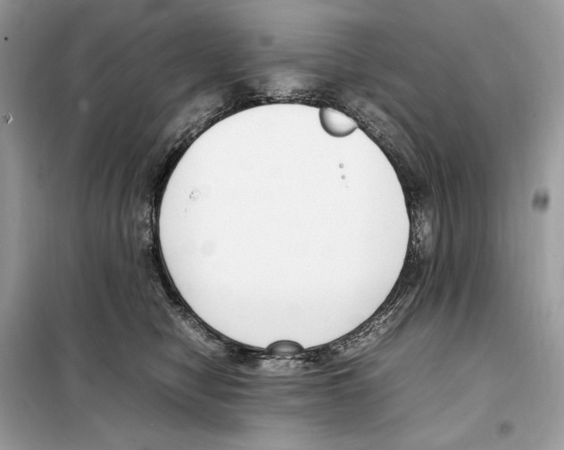 X0000099230470200805221840