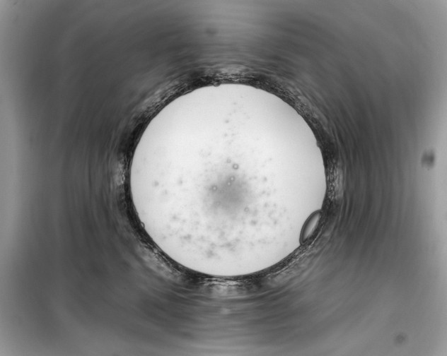 X0000099230472200805221840