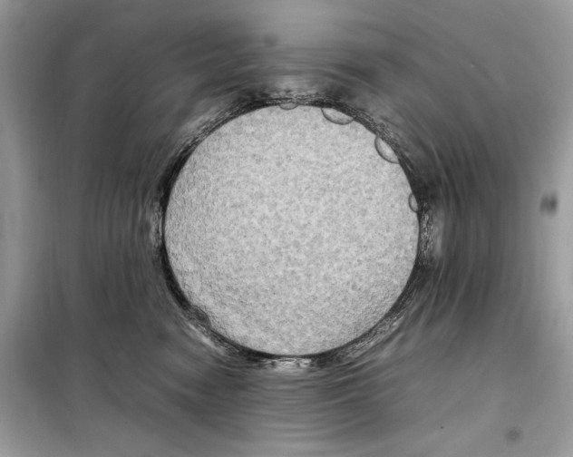 X0000099230474200805221840