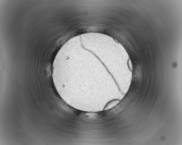 X0000099230478200805221840