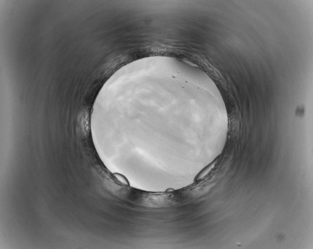 X0000099230479200805221840