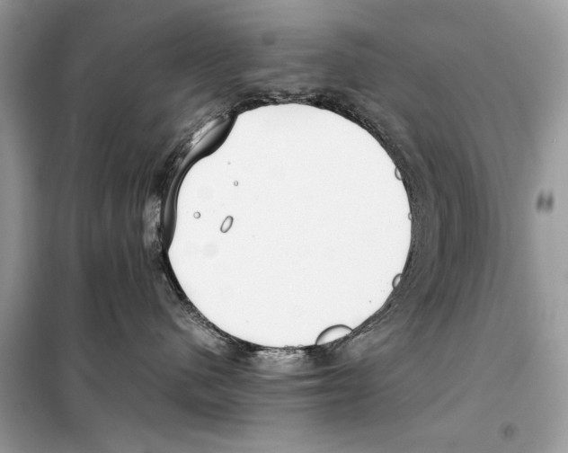 X0000099230480200805221840