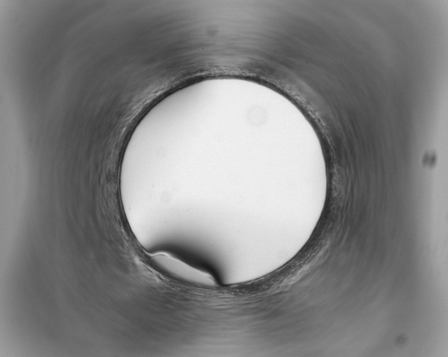 X0000099230481200805221839