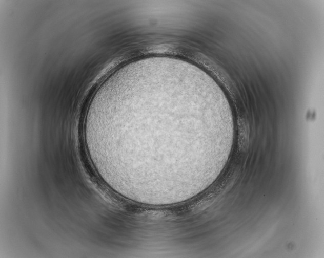 X0000099230482200805221839