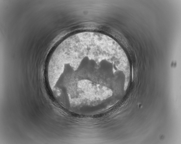 X0000099230483200805221839