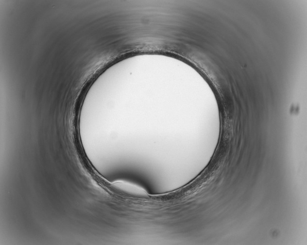 X0000099230485200805221839