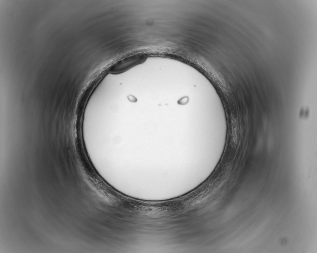 X0000099230486200805221839